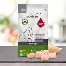 Adult Chicken - főkép