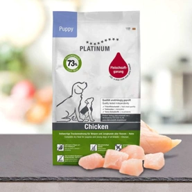 Puppy Chicken - főkép