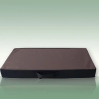 Zbed BrownCoach