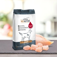Vetactive Senior
