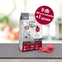PLATINUM Adult Lamb MINI bárányos kutyatáp 10x900 g